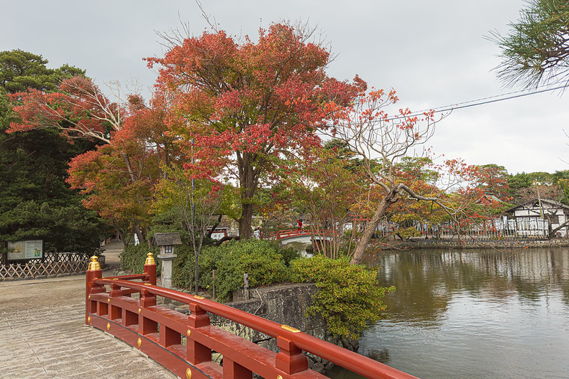 鎌倉紅葉